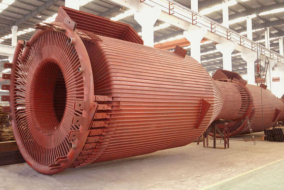 Carbon Steel Industrial Cyclone Separator Boiler Verticale Cyclone Separator