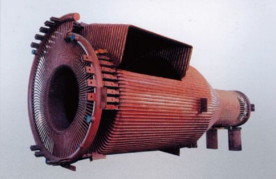 SAT-CHAM Industrial Cyclone Separator voor biogasverwarmde ketels van elektriciteitscentrales
